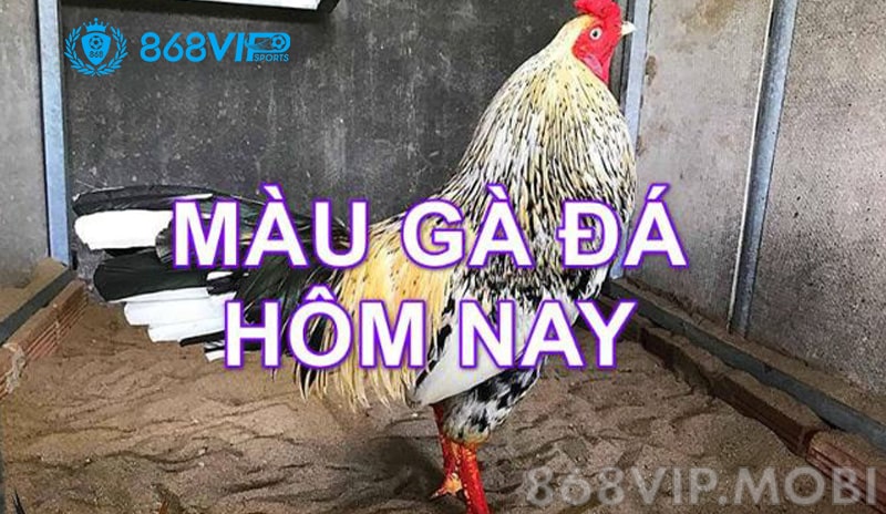 Gà đá sẽ có năm mệnh khác nhau